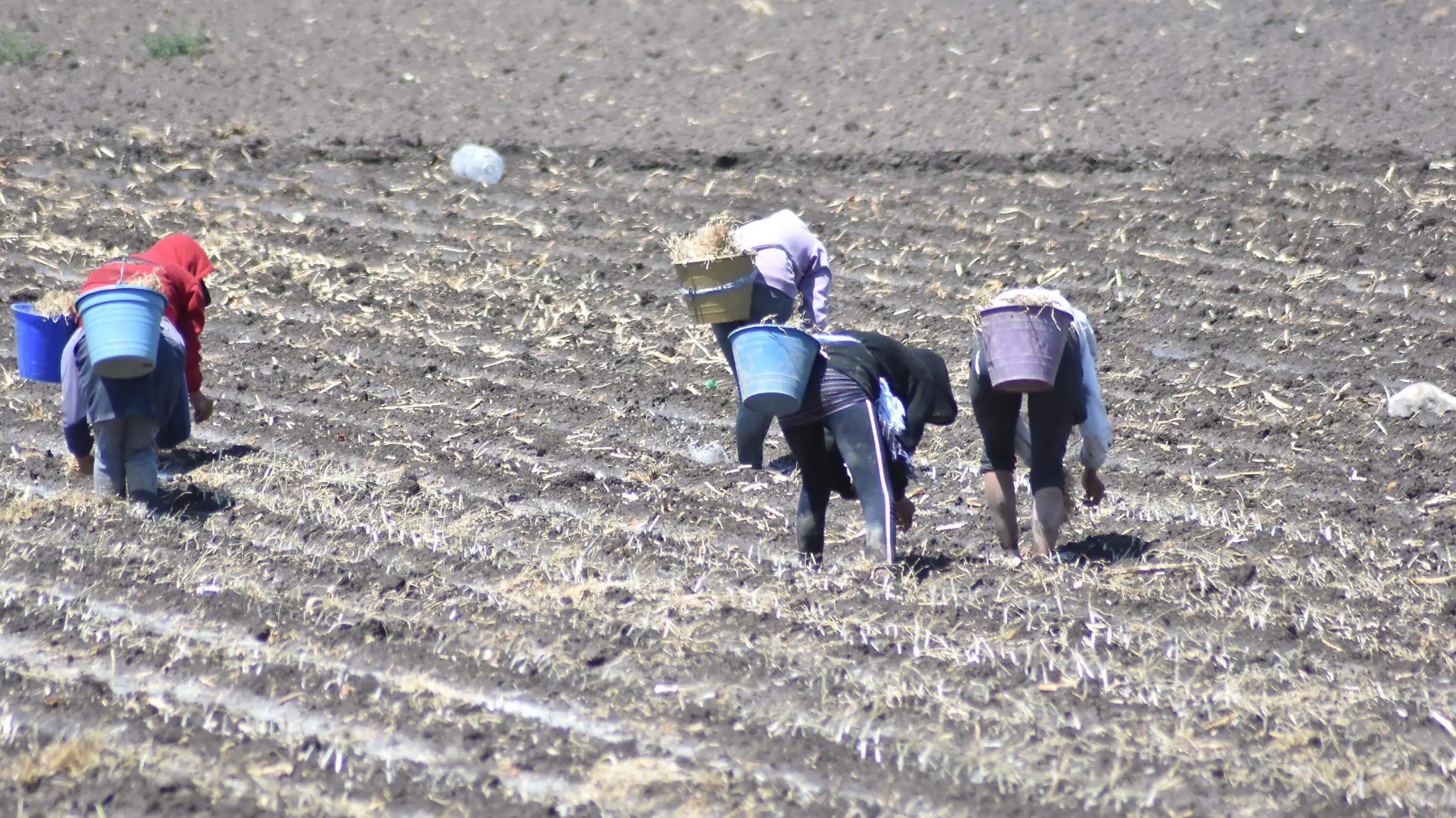 mujeres del cmpo (1)